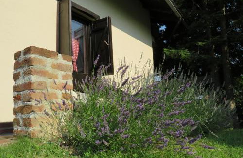 Holiday Home Kalnik - Foto 62