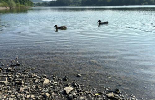 Ferienwohnung Sorpeblick - Foto 23