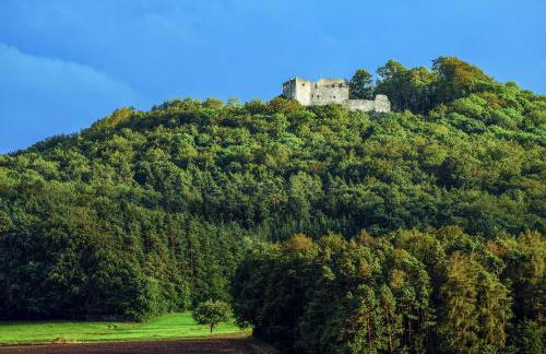 The Old Farmhouse - Foto 19