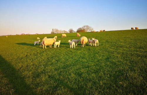 Ferienwohnung Libelle - Foto 13