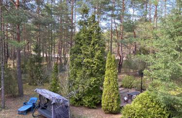 Leśny Czar - Foto 24