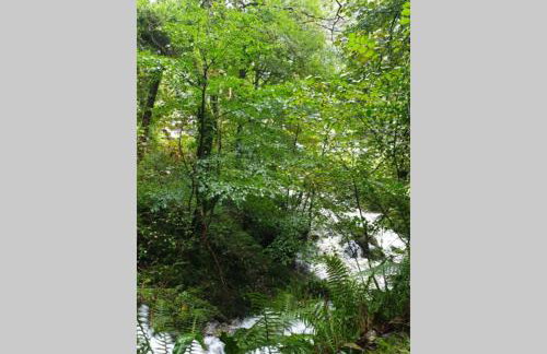 The Eaves in Lynton, Exmoor, Devon - Foto 30