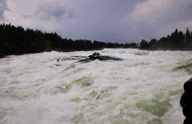 Bryggerihusen - Foto 27