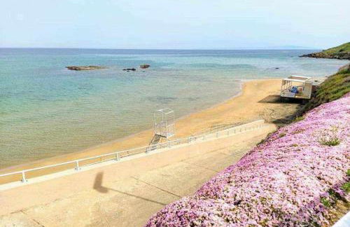 Il Centro - Photo 29