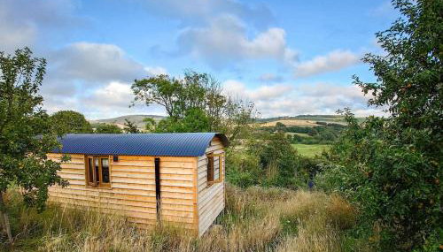 Woodpecker Hill - Apple Orchard in Alfriston - Foto 2