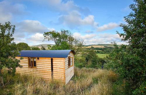 Woodpecker Hill - Apple Orchard in Alfriston - Foto 2