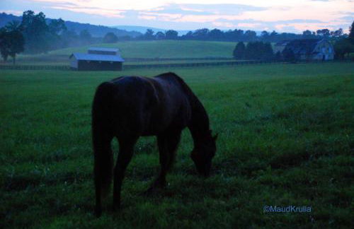 Villa Maud - Foto 38