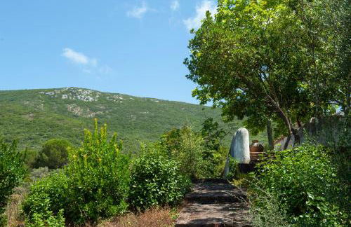 Quinta da Arrábida - Foto 73