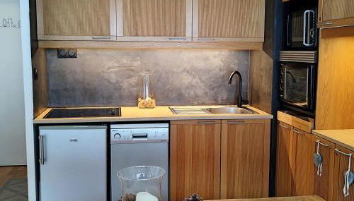 Appartement cosy 7 couchages au pied des pistes - Centre Prapoutel - FR-1-771-60 - Foto 4