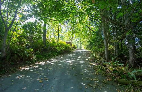 Sq Bayside Cedars - Foto 20