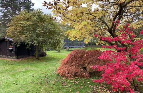 My Happy Garden 1500sq m - Foto 43