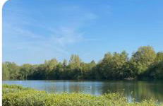 Chalet close to Heathrow T5, Windsor Castle, Legoland, Thorpe Park, with off road parking, free Wifi, private garden, spacious & fully equipped, cozy wood burner & comfy sofa, ideal for exploring London with trains to Waterloo, a beautiful unique retreat - Foto 4