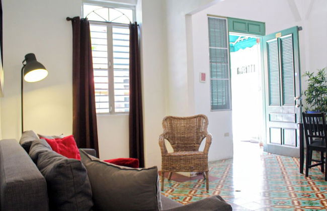 Gladiolas 1101 - Foto 8