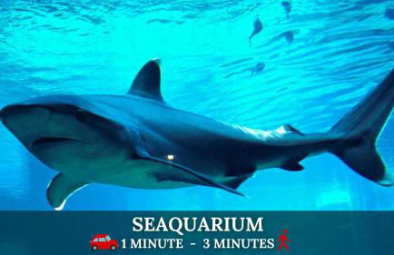 Jardin de Camargue - T4 avec parking, WIFI, vélos & jardin, proche mer - Photo 23