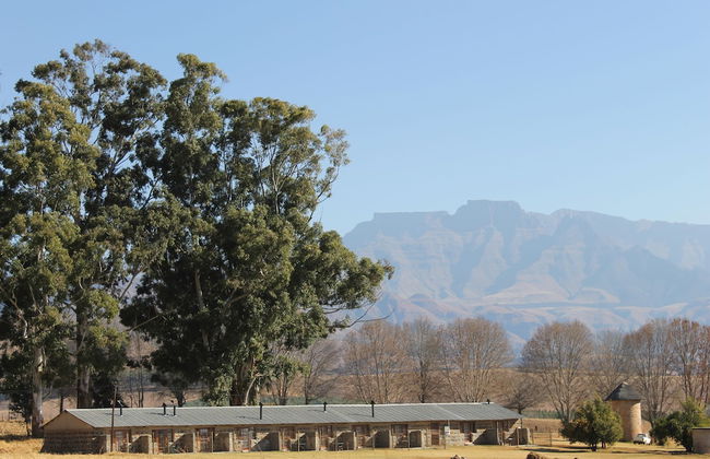 Ardmore Guest Farm - Photo 2