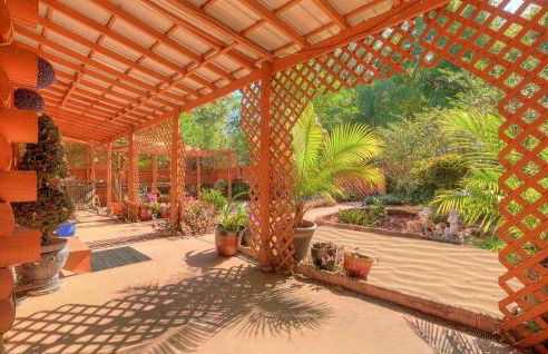 Serene Lakefront Room with Private Bath & Scenic Views in Lake Helen, Florida - Foto 4