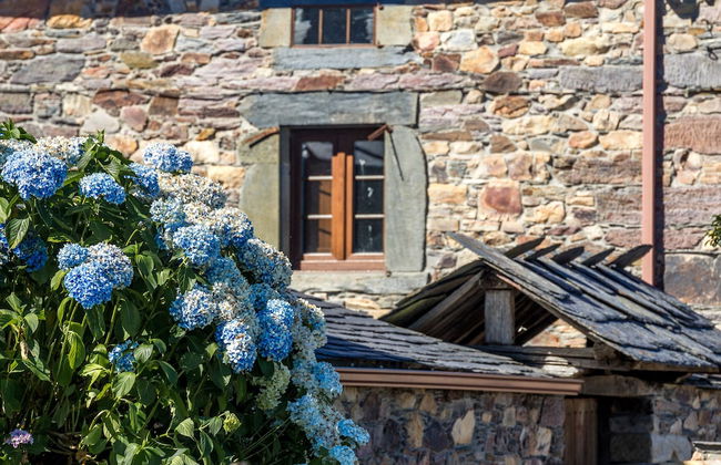 Casa Remedios - Photo 22