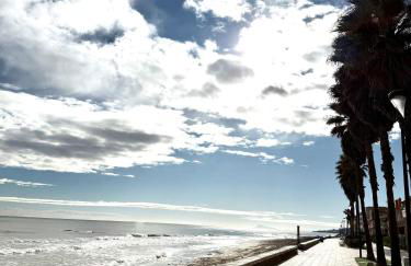 Batflats-Palmeres Playa - Photo 22