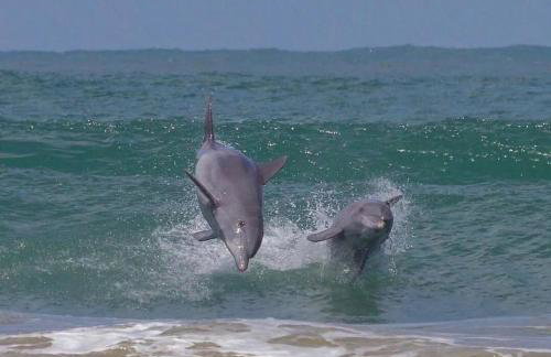 Resid. Clube Mar Grosso - Laguna - LAG100 - Photo 43