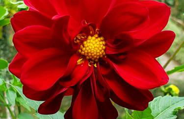 Casa Fazenda Inglesa Petrópolis RJ - Foto 46