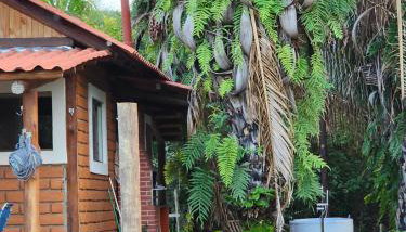 Refúgio no meio da natureza - Chalé Pé de Serra - Foto 5