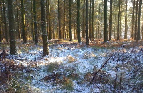 Sausage Cottage in Oakford Village 4 Bed Garden Local Pub - Foto 21