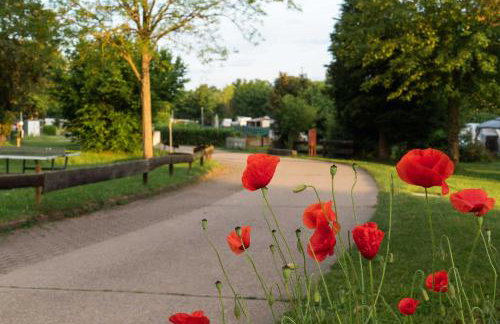 Sleep Space 3 - Green Tiny Spot Südpfalz - Foto 25