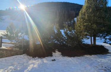 La Casa di Olivia - direttamente sulle piste (ski-in / ski-out) - Foto 58