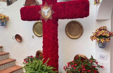 El SOL del SUR - Photo 49