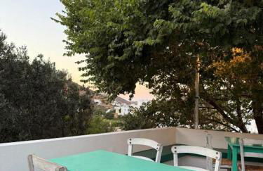 Tinos Kalloni - Foto 14