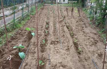 Il Giardino degli Ulivi - Foto 21
