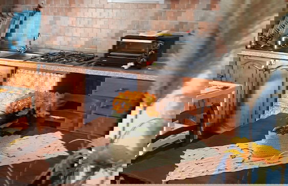 Agriturismo Aiola - Foto 5