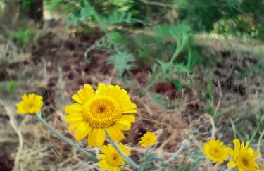Biały Domek Nielbark - Agroturystyka - Foto 48