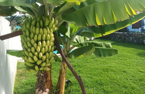 CHALET PRIVADO, PISCINA, WIFI AL MEJOR PRECIO - Foto 6