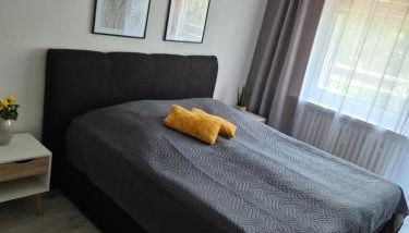 majvermietung - Photo 5