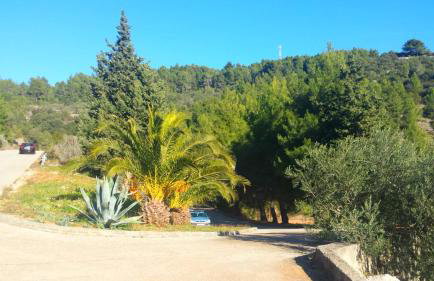 Getaway Beach House - Photo 24