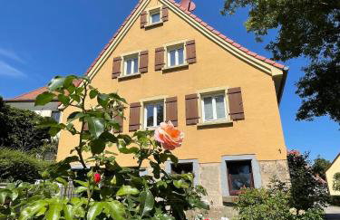 Alte Schmiede Ellrichshausen 1 - Foto 1