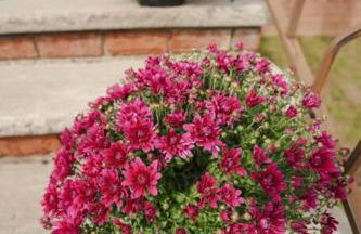 Newark Liberty Brick House - Private Bedroom 1 - Foto 7