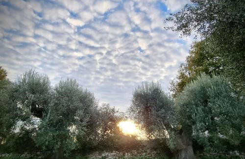 Le Grotte di Sileno - Foto 76