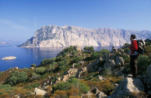 Villa Babsy con piscina privata - Foto 16