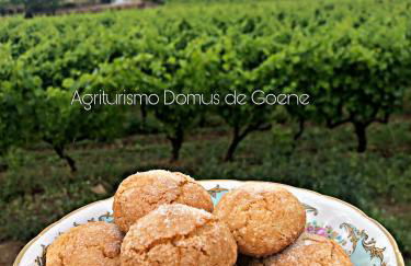 Domus de Goene - Foto 43