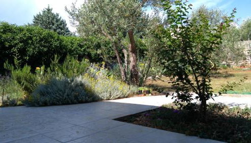 Apartman Ruža - Foto 4, Garden