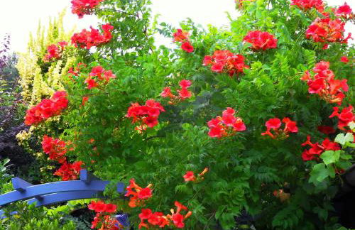 Ferienhaus von Bargen - Foto 23