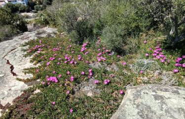 Villetta La Casa Vecchia Baja Sardinia - Foto 60