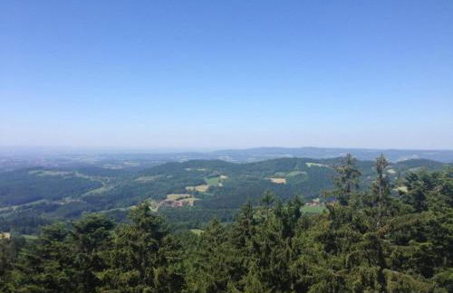 Bungalow in Waldbrunn - Foto 71