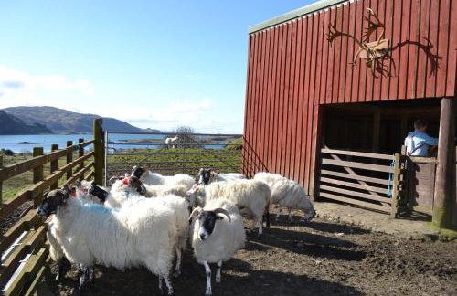 Oban Seil Farm - Photo 44