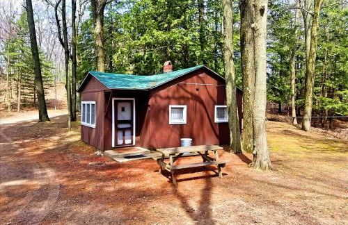 Cozy Lakeside Cabin in Manistee National Forest, Michigan - Foto 1