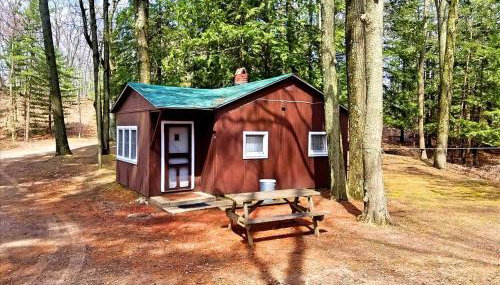 Cozy Lakeside Cabin in Manistee National Forest, Michigan - Foto 1
