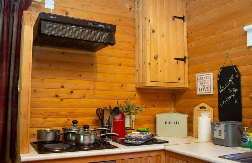 Fiddlers Green Log Cabin Tenby - Foto 6