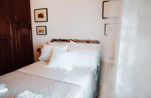 Olive Roots - Foto 34